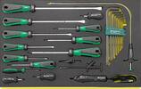 STAHLWILLE - SHOP Stahlwille DRALL set of screwdrivers i.TCS inlay TCS 4724/4840+10767 24pcs -