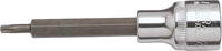 ELORA - SHOP ELORA Schraubendreher-Einsatz 1/2 lang, TORX®, ELORA-3245-TXL 60 -