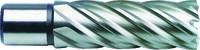   PROJAHN Annular cutter HSS-Co 8 % 29,0 mm cutting depth 55,0 mm  106,10 EUR71,09 EUR incl. VAT., +  23,10 EUR shipping