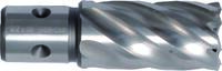   PROJAHN Annular Cutter HSS-Co 8 % 21,0 mm cutting depth 35,0 mm, Quick... 67,03 EUR44,91 EUR incl. VAT., +  23,10 EUR shipping